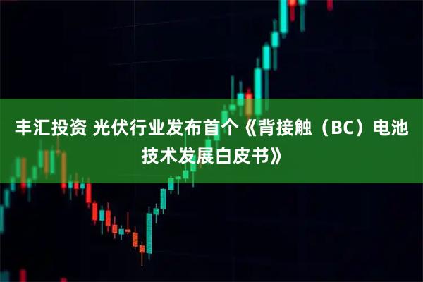 丰汇投资 光伏行业发布首个《背接触（BC）电池技术发展白皮书》