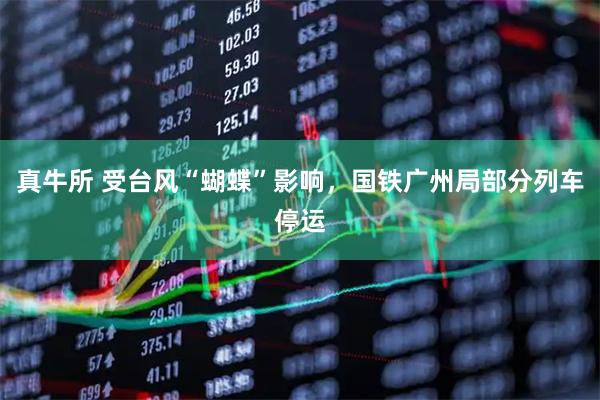 真牛所 受台风“蝴蝶”影响，国铁广州局部分列车停运