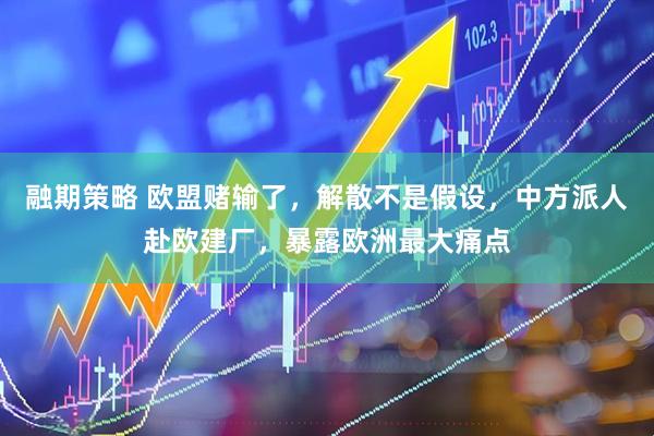 融期策略 欧盟赌输了，解散不是假设，中方派人赴欧建厂，暴露欧洲最大痛点
