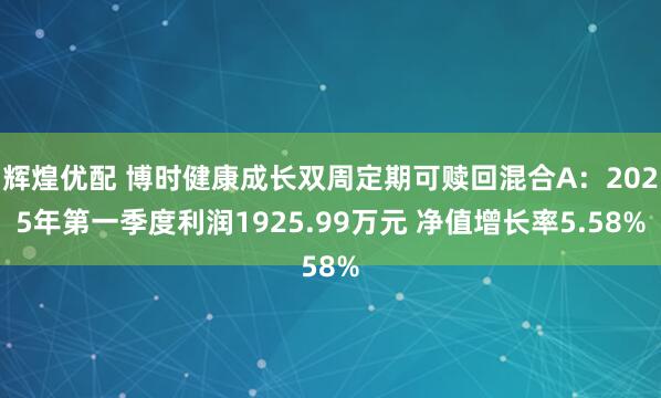 辉煌优配 博时健康成长双周定期可赎回混合A:2025年第一季度利润1925.99万元 净值增长率5.58%